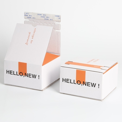 kopen Mailer Box Custom Vierkant Verpakkingsdoos Met Makkelijk Te Open Zipper Doos Voor Druk op Nagels online manufacture